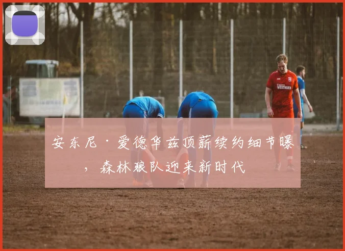 安东尼·爱德华兹顶薪续约细节曝光，森林狼队迎来新时代
