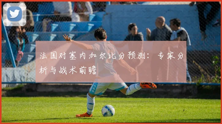 法国对塞内加尔比分预测:专家分析与战术前瞻