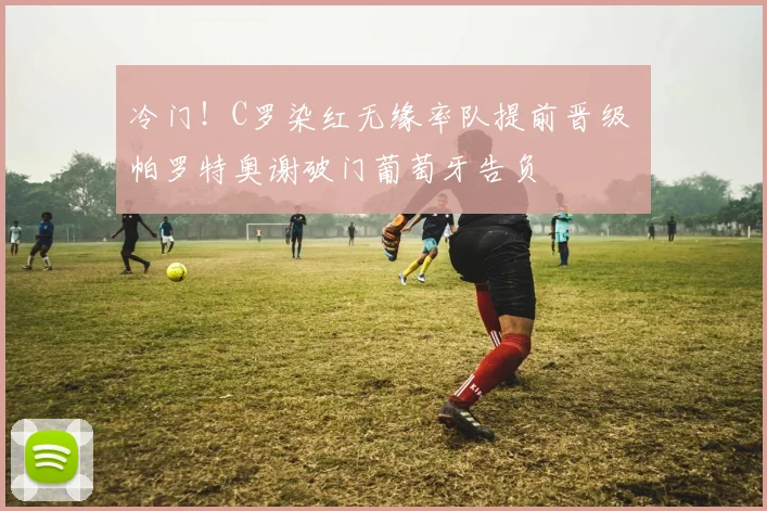 冷门!C罗染红无缘率队提前晋级 帕罗特奥谢破门葡萄牙告负